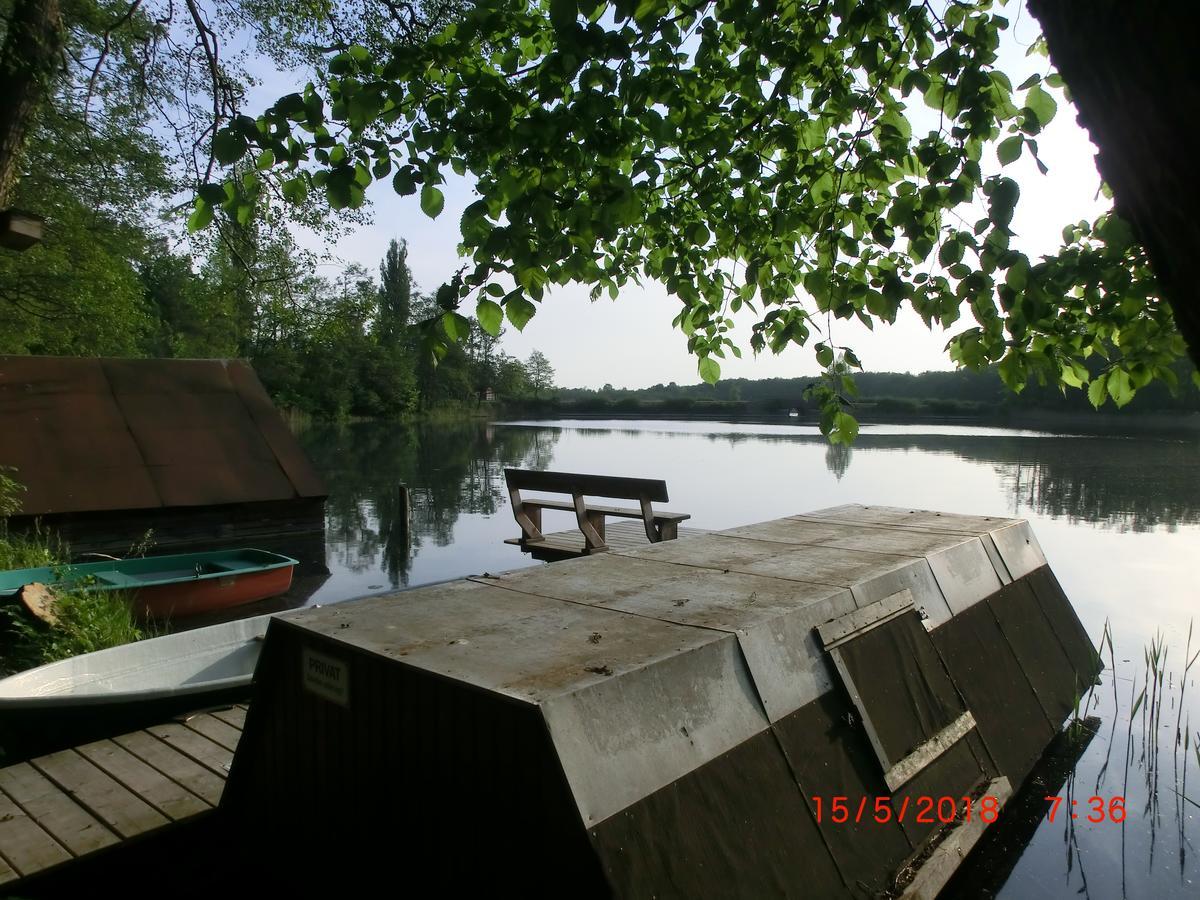 Ferienwohnung Luzinblick Feldberger Seenlandschaft ภายนอก รูปภาพ