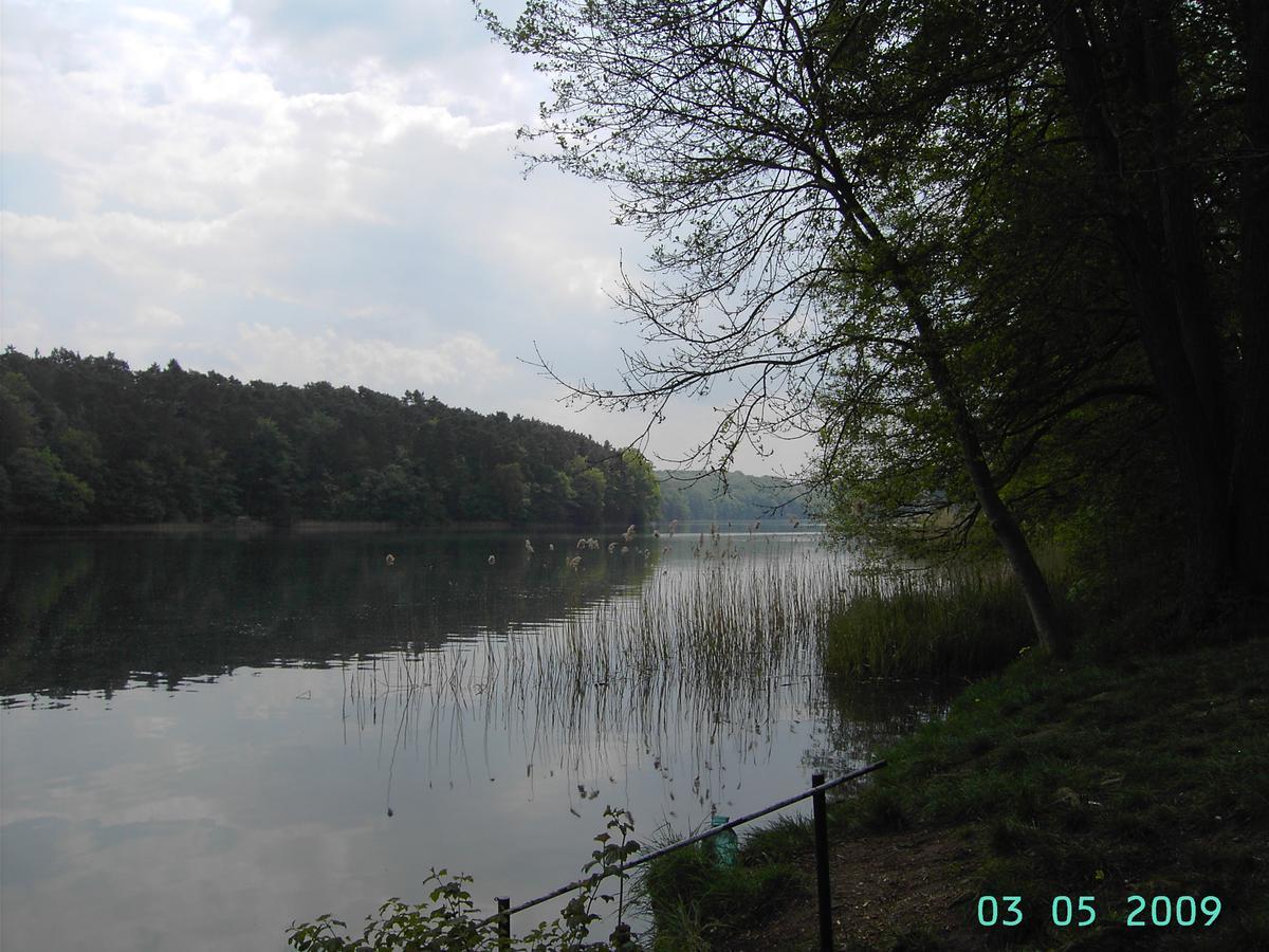 Ferienwohnung Luzinblick Feldberger Seenlandschaft ภายนอก รูปภาพ